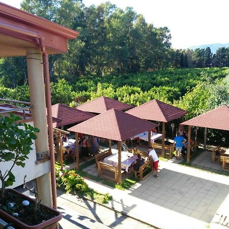B&B Pineta Mare 라메지아 테르메 외부 사진