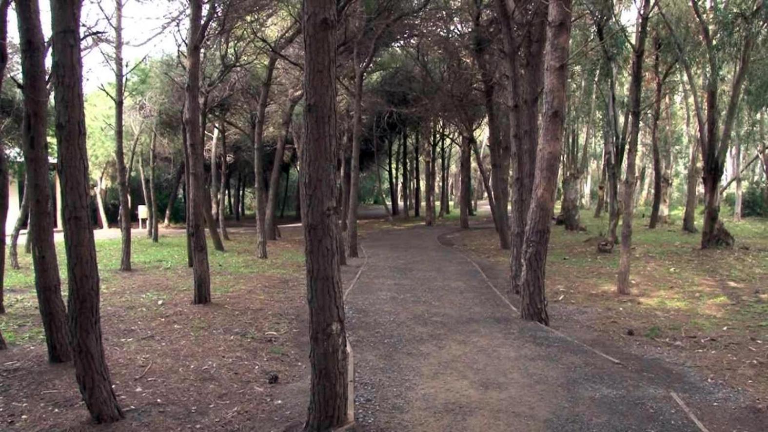 B&B Pineta Mare 라메지아 테르메 외부 사진